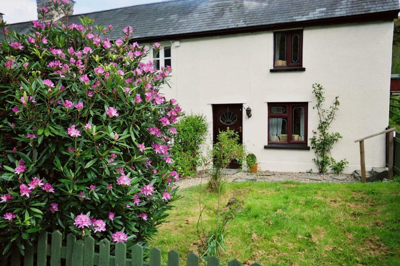 Deer House Villa Machynlleth Eksteriør bilde